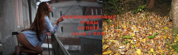 эйфоретик Алексин